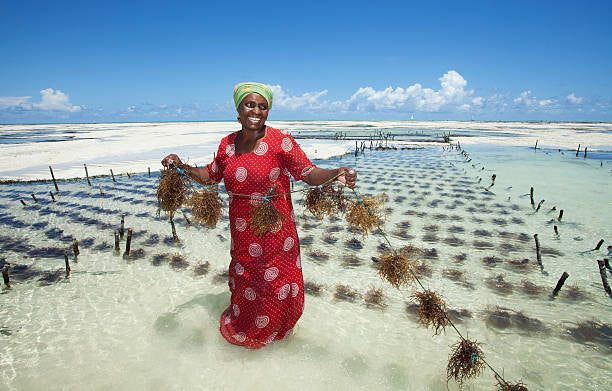 Zanzibar & Kenya 2025 - Africana Retreats & Cooking Holidays